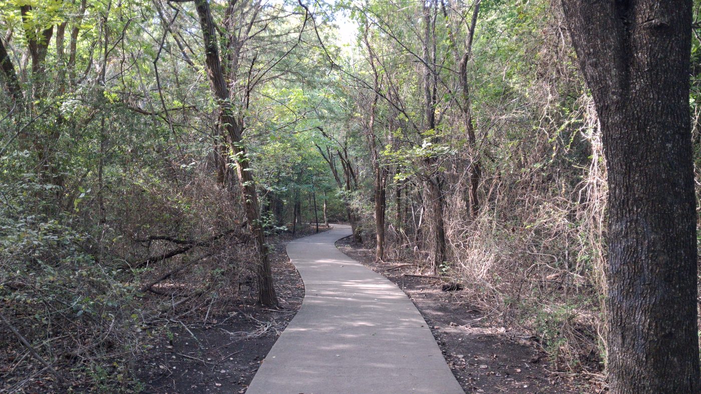 A shaded interpretive trail through the woods at Frisco Commons Park.
